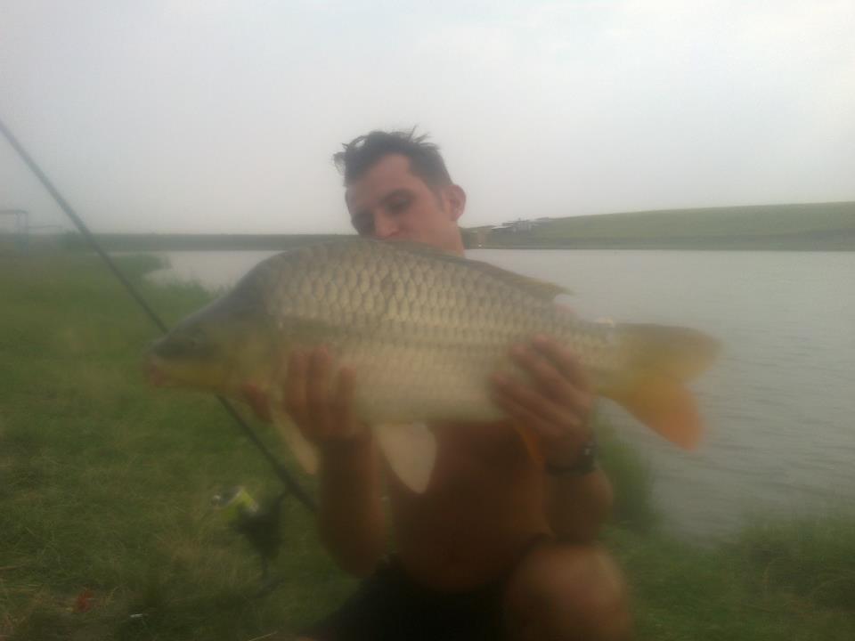 Sustra 2012 jud Timis - 298774_497450703617047_2016959240_n.jpg